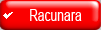 Servis racunara